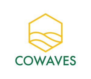 CoWaves
